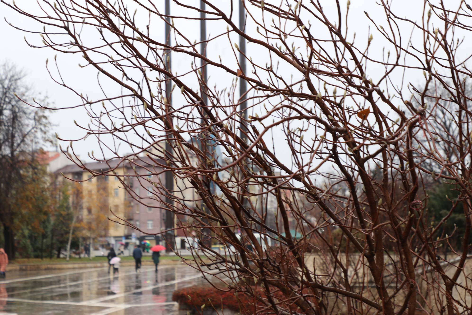 Дъждовно време